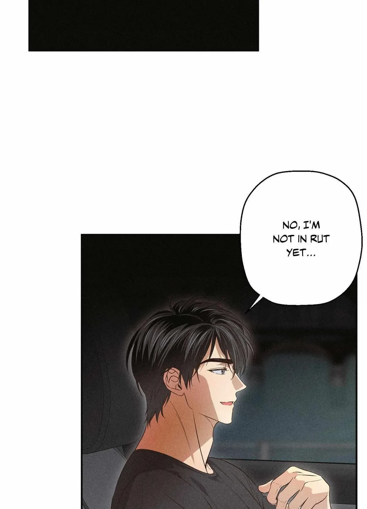 Chapter 4, page 67