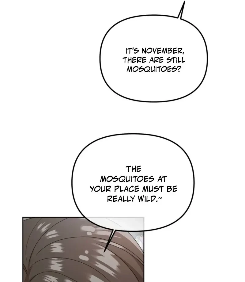 Chapter 1, page 17