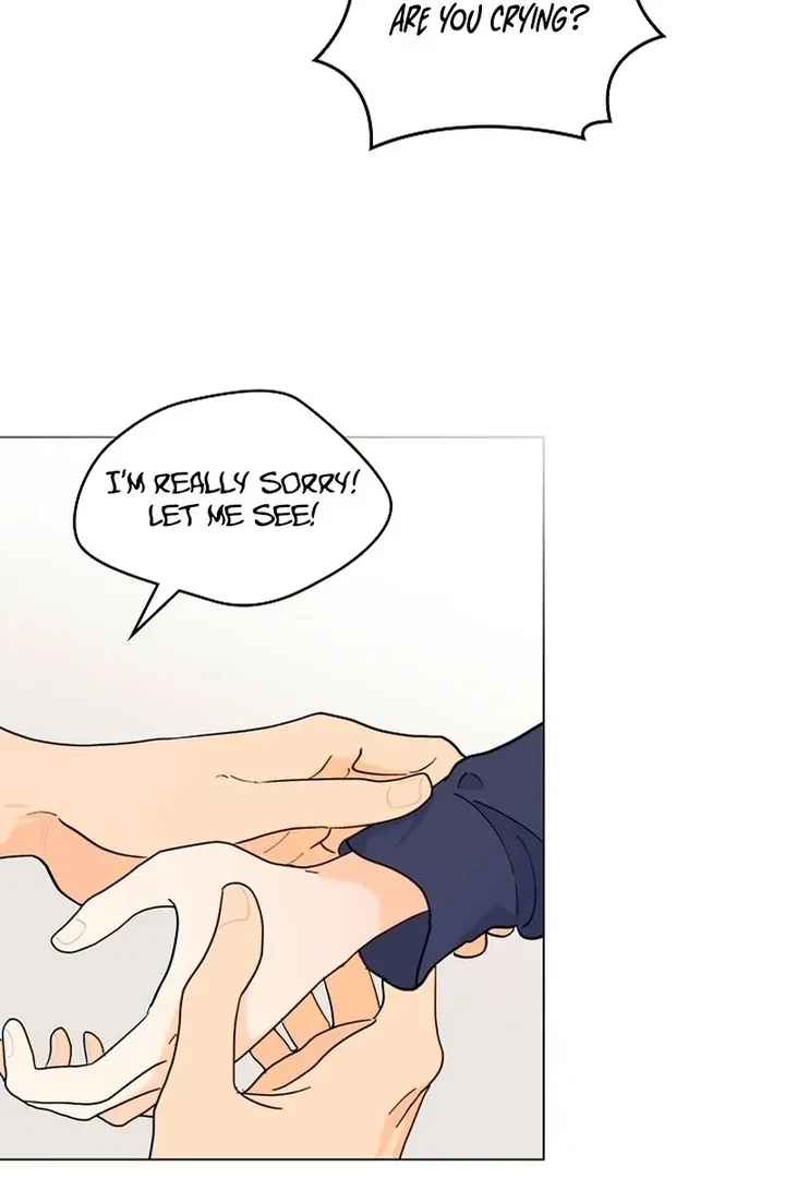 Chapter 4, page 31