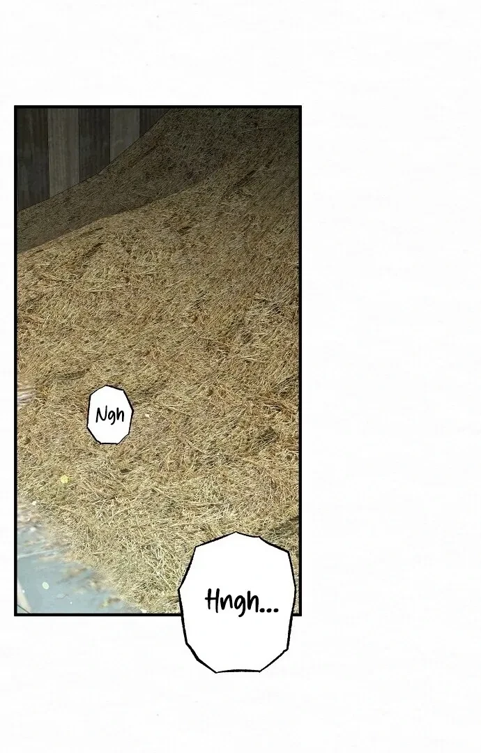 Chapter 4, page 12