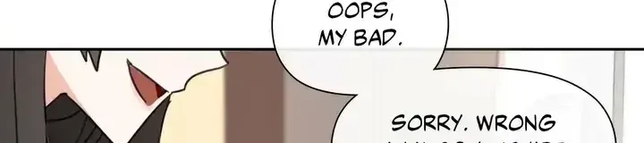 Chapter 1.1, page 17