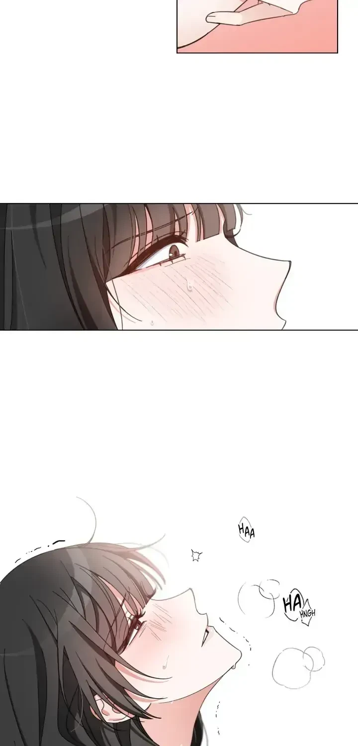 Chapter 1.1, page 24