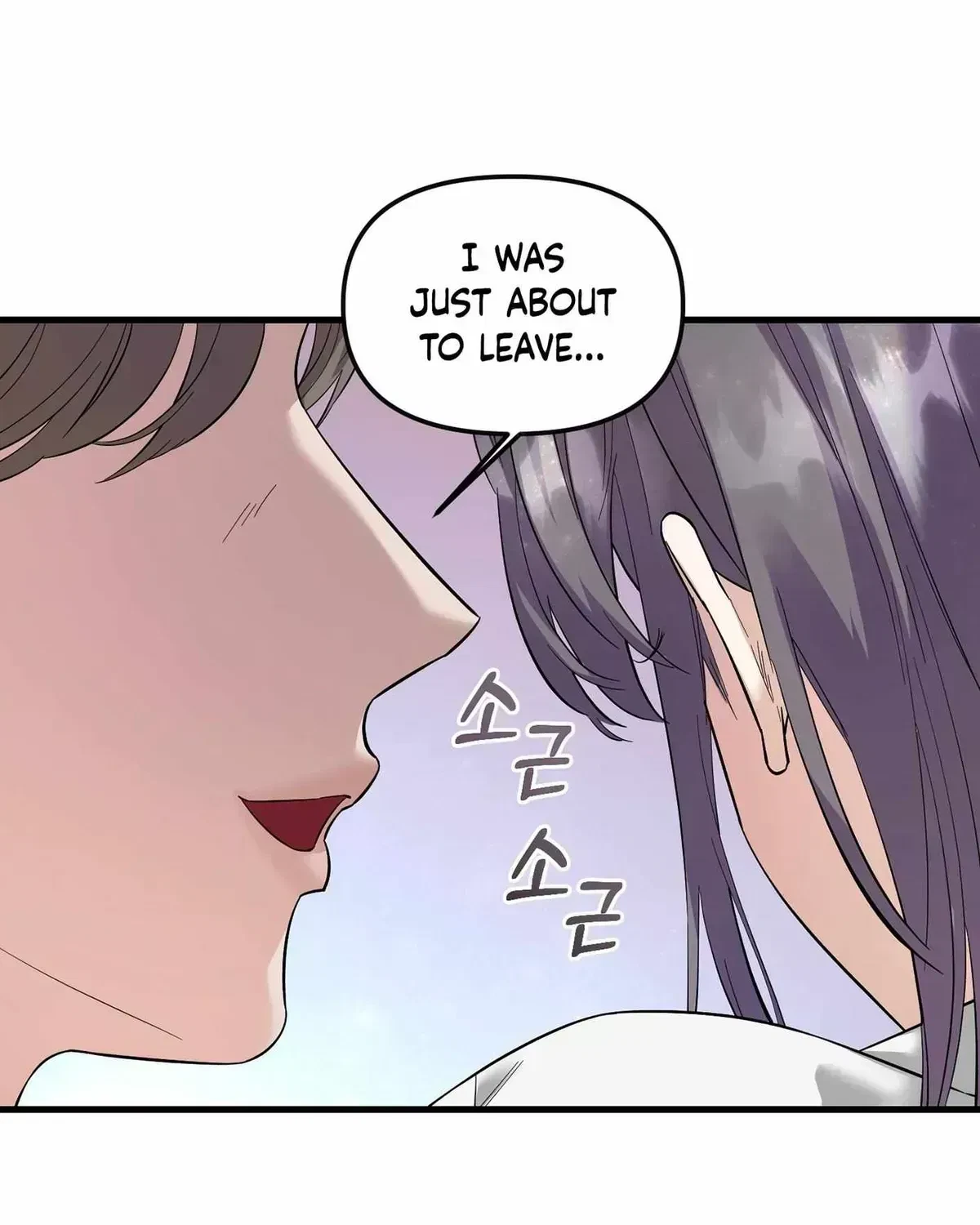 Chapter 1.3, page 20