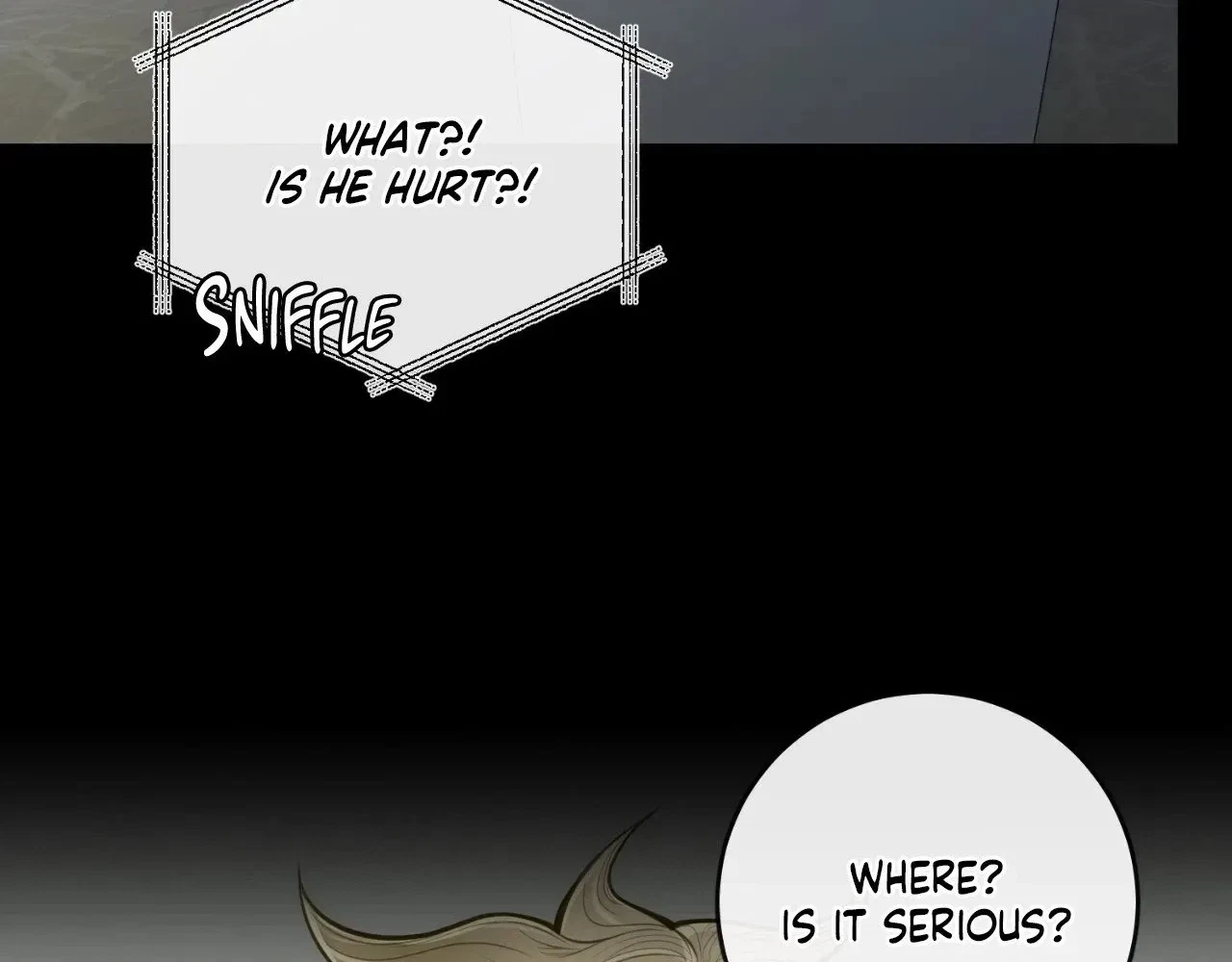 The Alpha's Mate Chapter 14, page 100