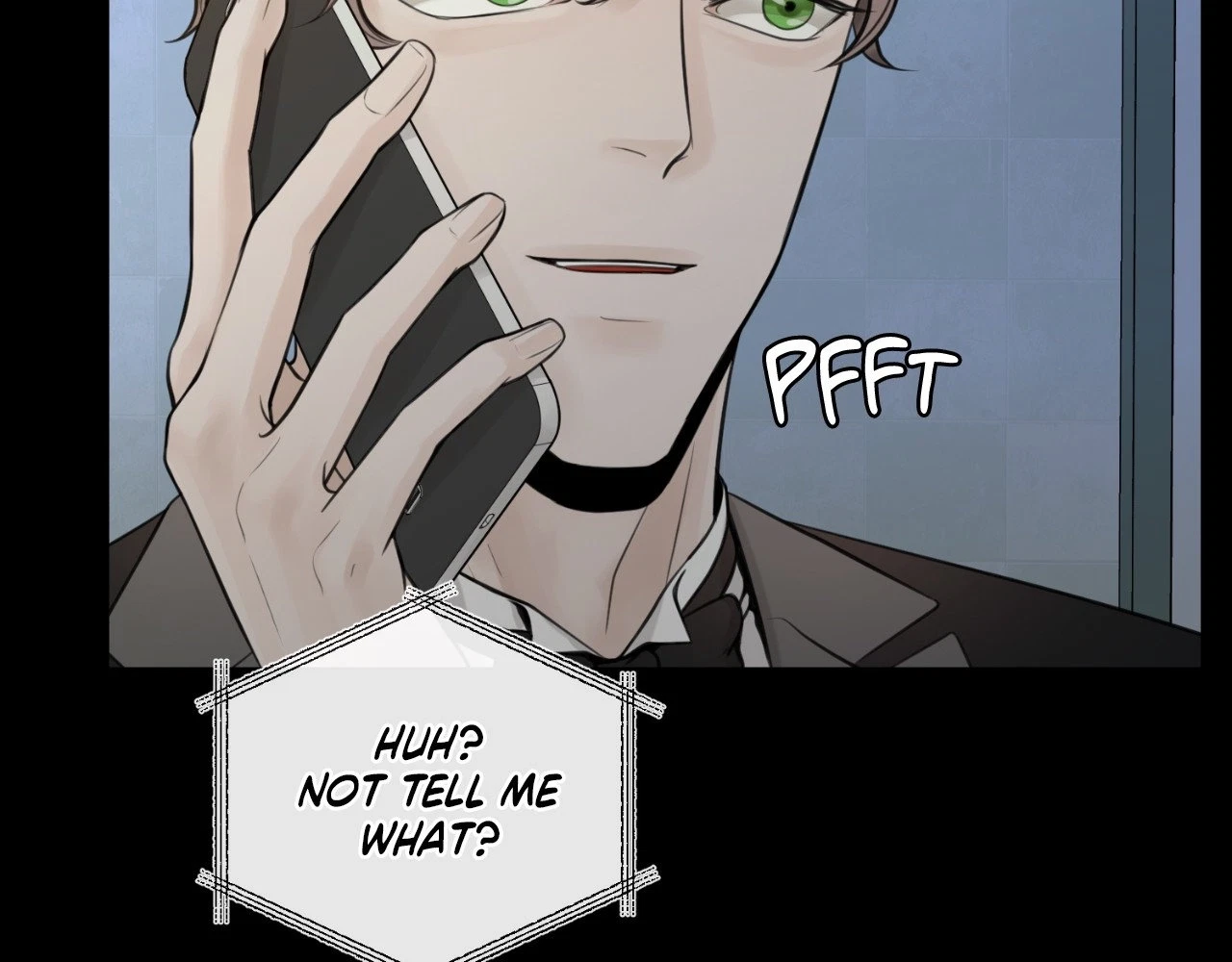 The Alpha's Mate Chapter 14, page 98