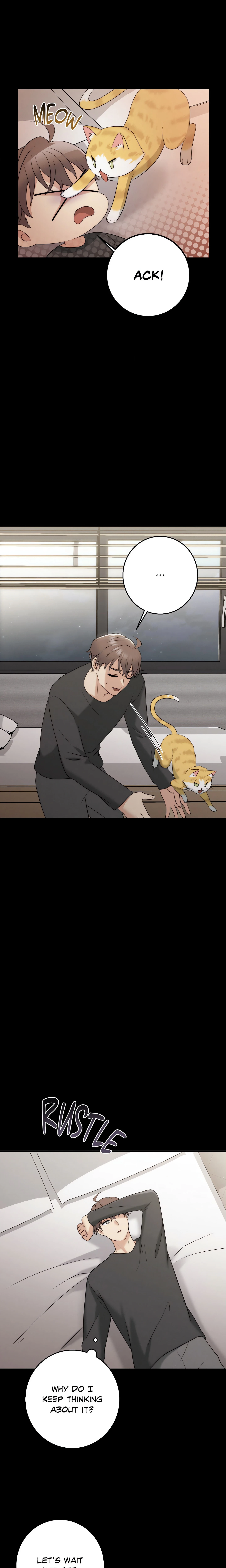 Chapter 31, page 16