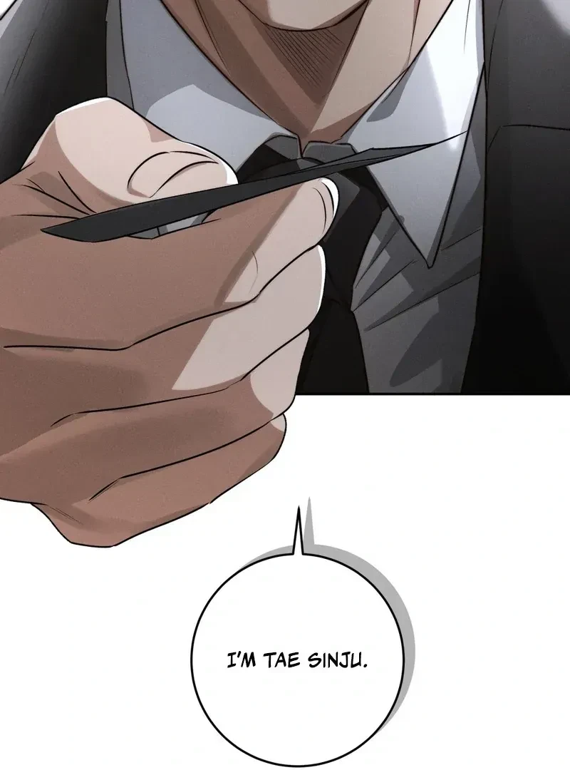 Chapter 1, page 12
