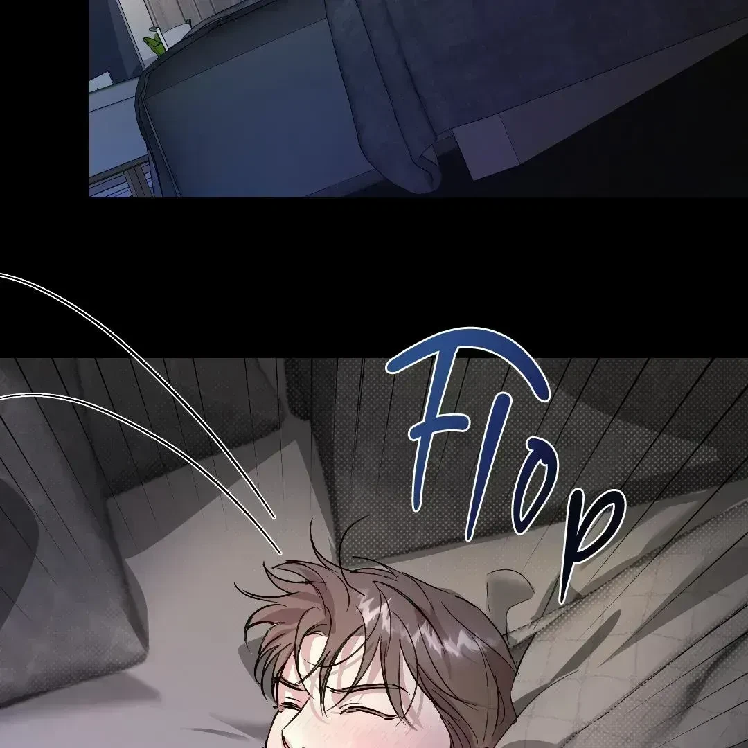 Chapter 2.9, page 26