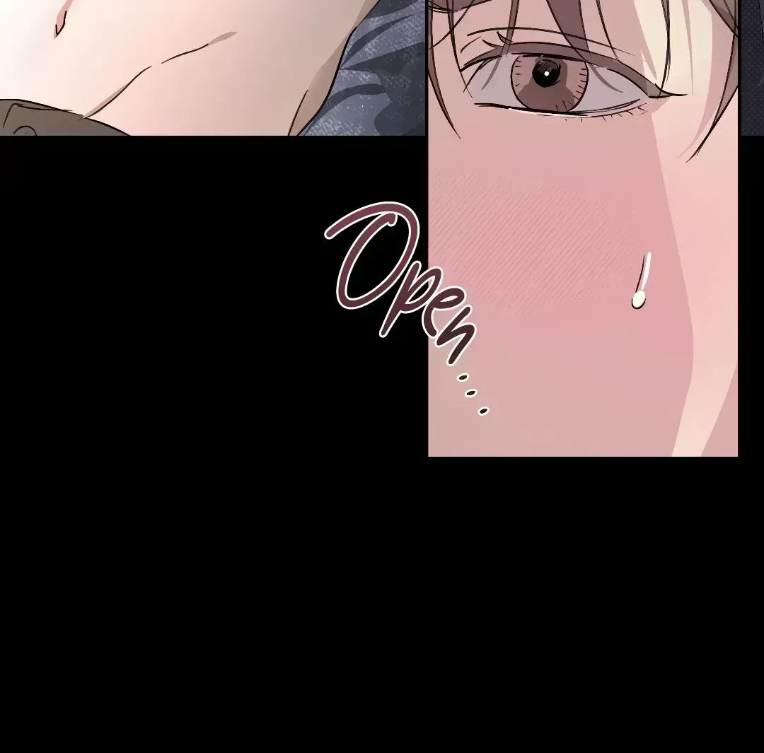Chapter 2.9, page 28