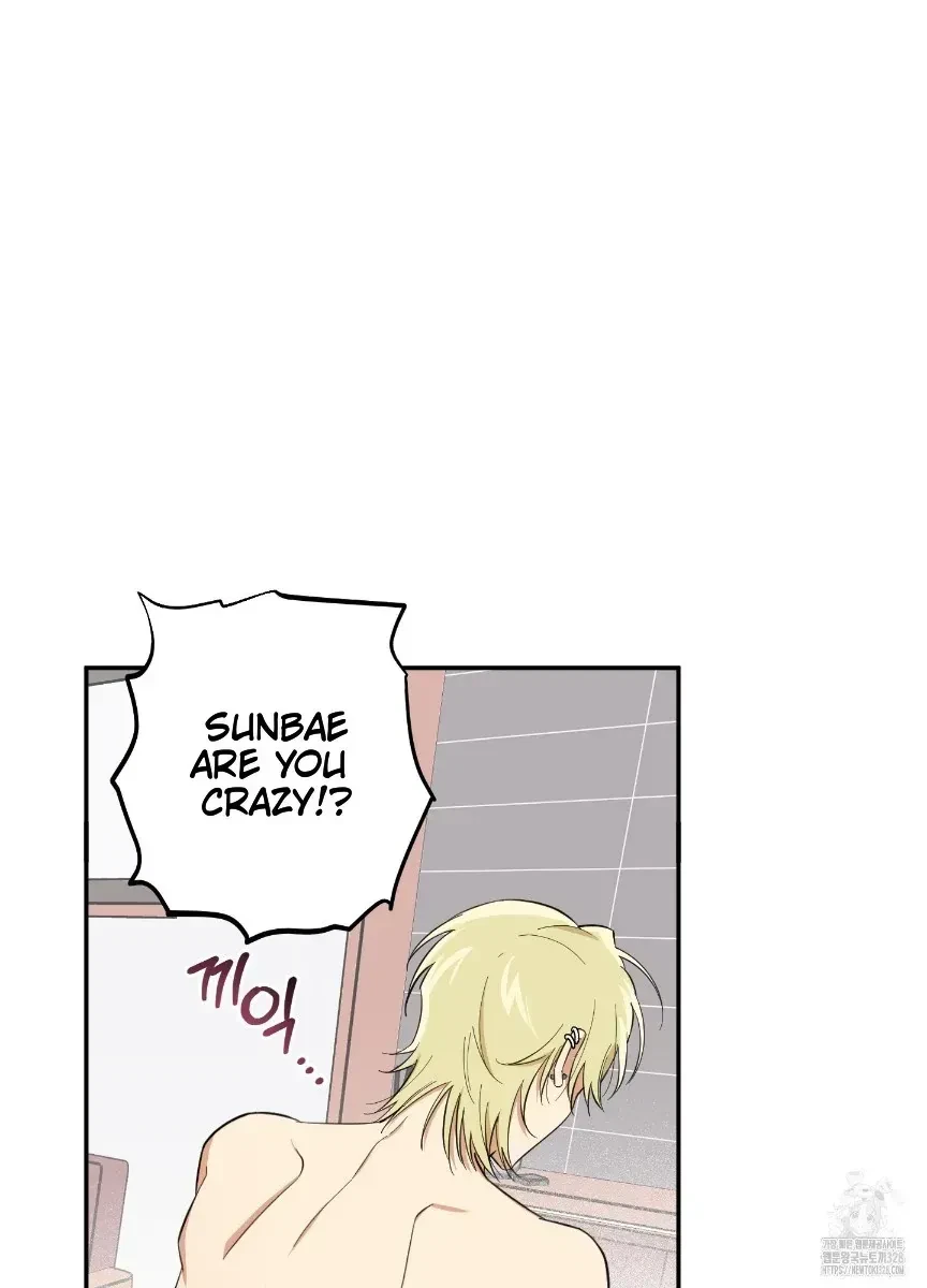 Chapter 1.1, page 2