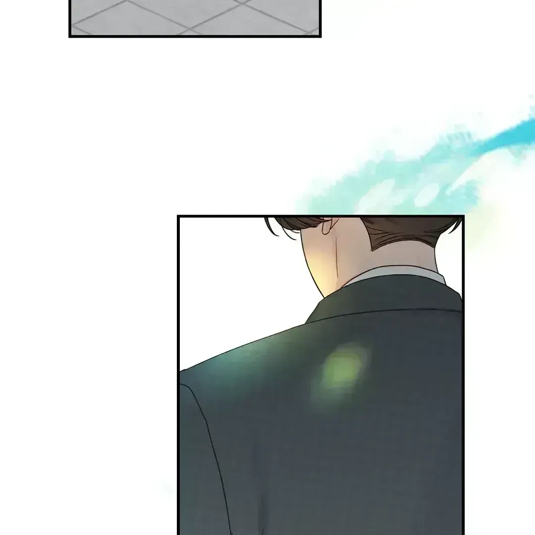 Chapter 2.7, page 102