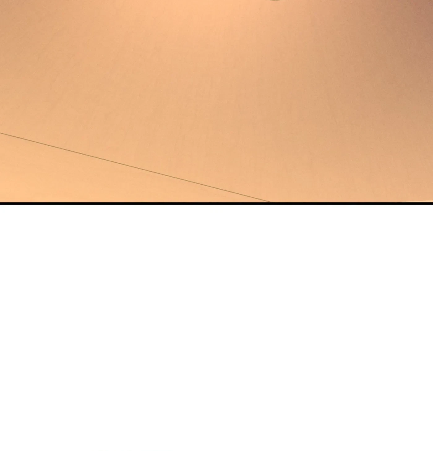 Chapter 9, page 132