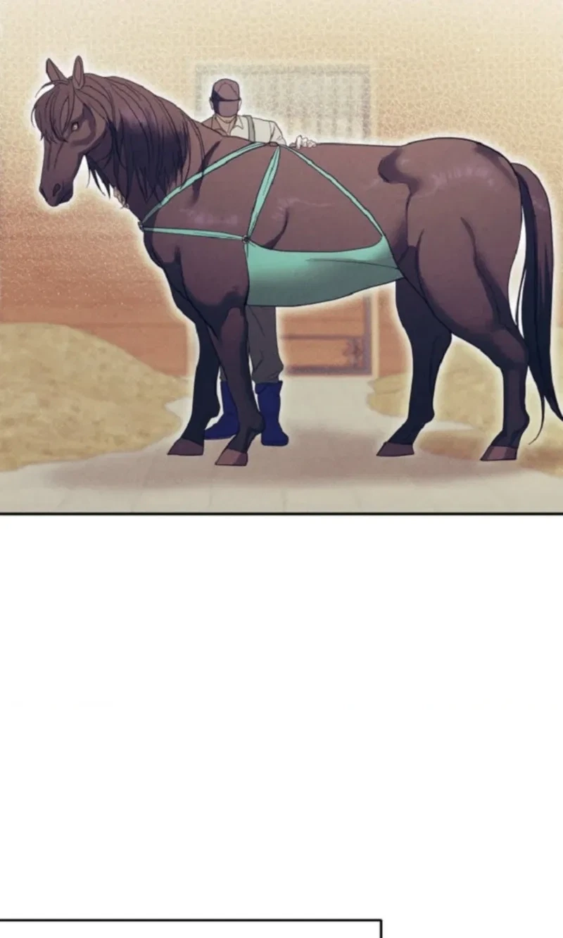 Monthly Animal: A Stallion's Special Day Chapter 1, page 18