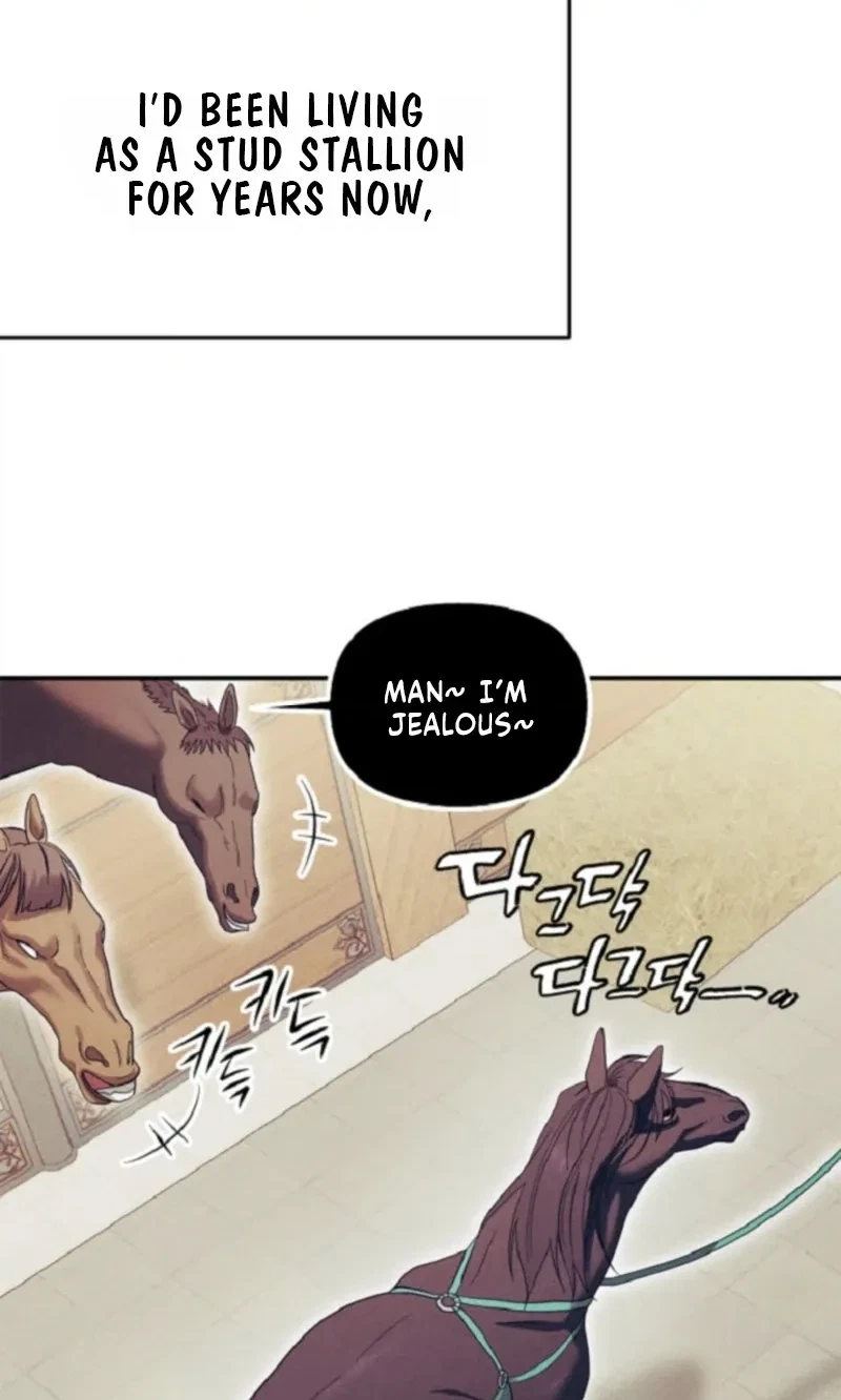 Monthly Animal: A Stallion's Special Day Chapter 1, page 19