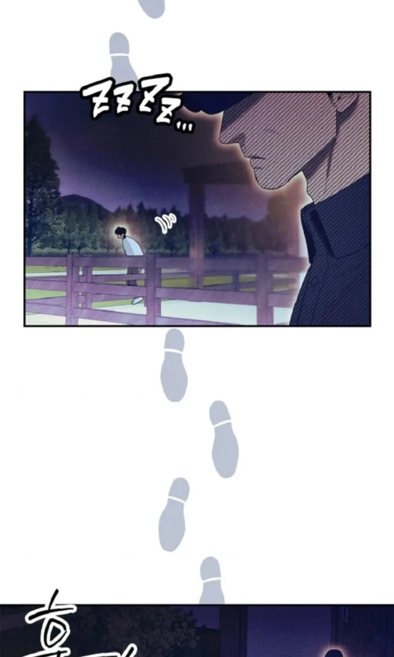 Monthly Animal: A Stallion's Special Day Chapter 1, page 29