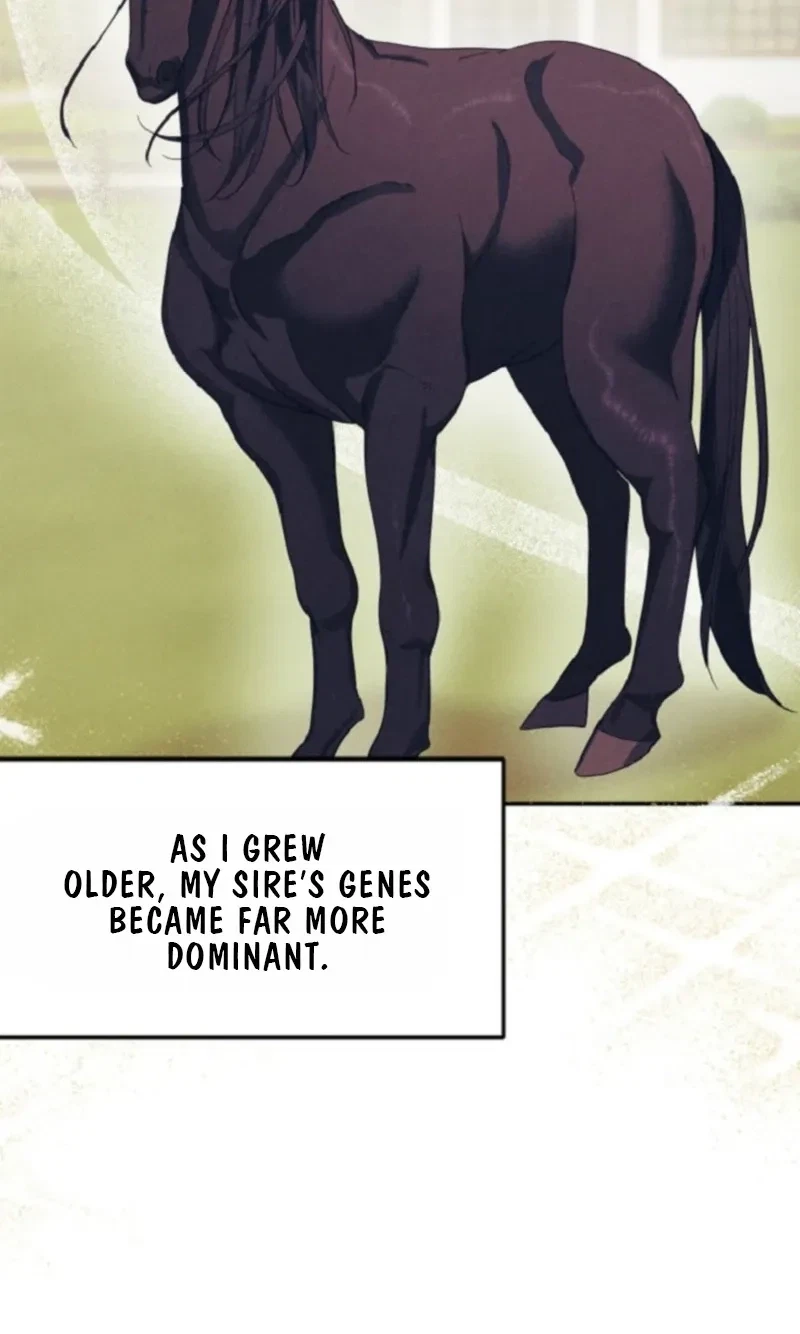 Monthly Animal: A Stallion's Special Day Chapter 1, page 4