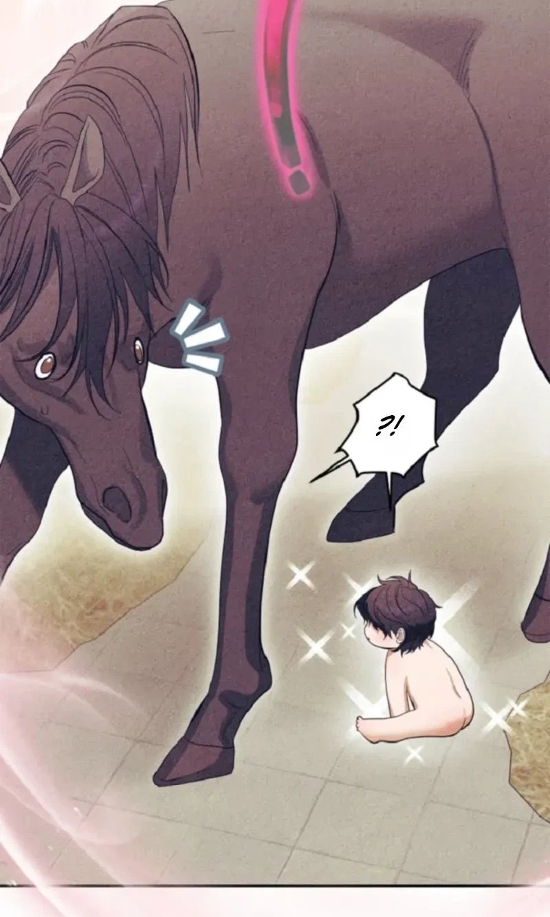 Monthly Animal: A Stallion's Special Day Chapter 1, page 8