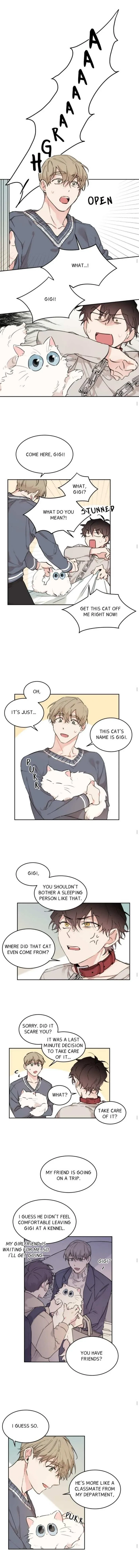 Chapter 15, page 7