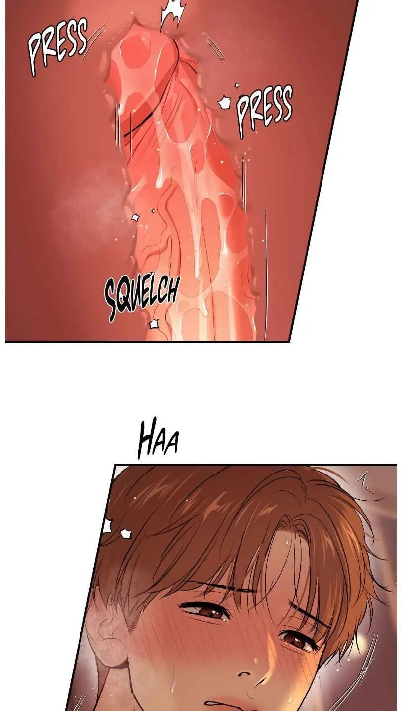 Chapter 95.5, page 13