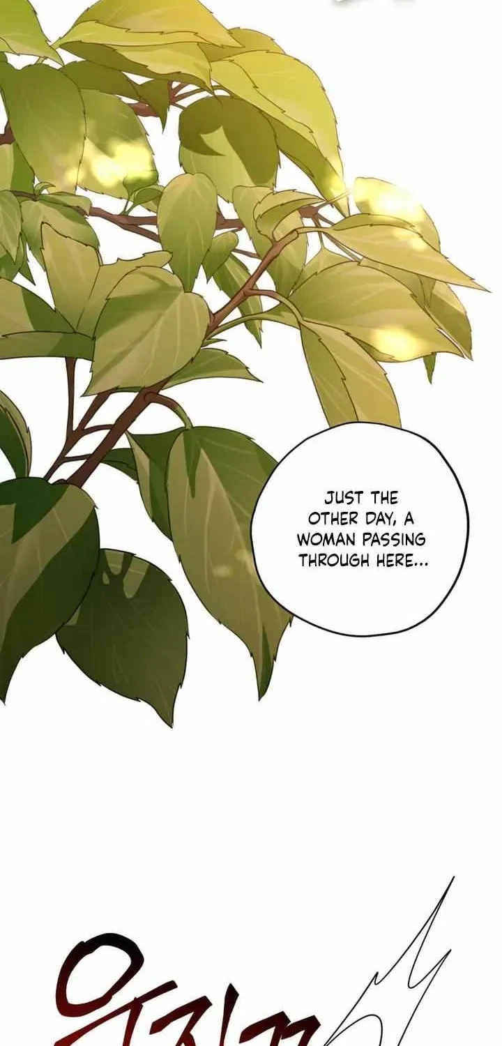 Chapter 20.2, page 15