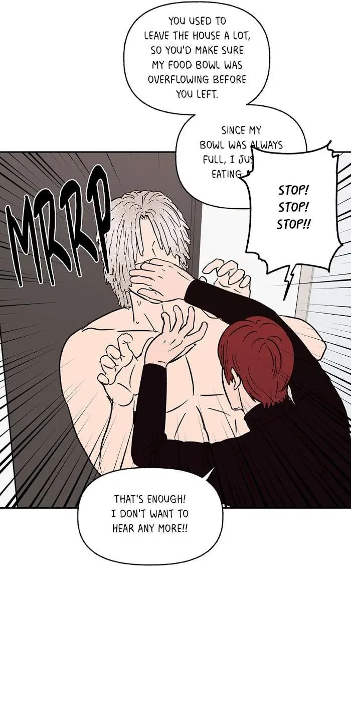 Chapter 37.2, page 11