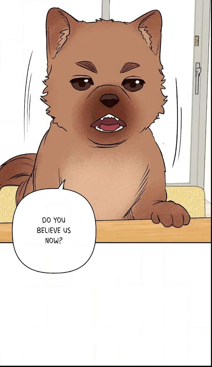 Chapter 37.2, page 35