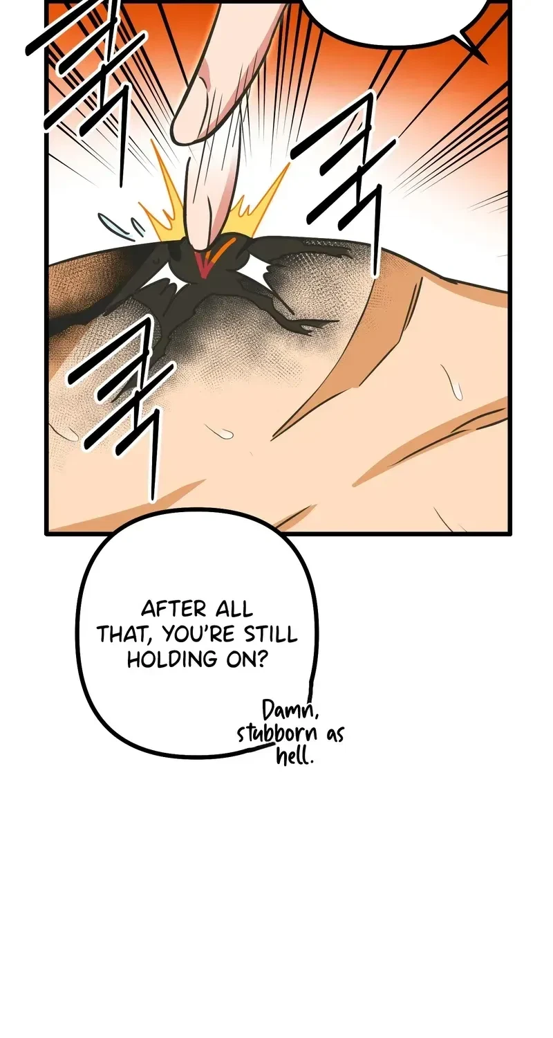 Chapter 3, page 69