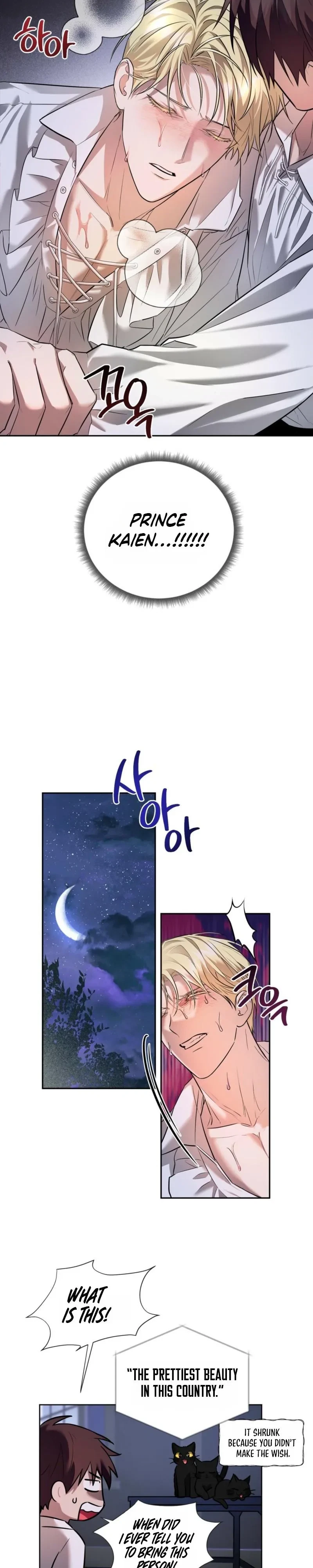 Chapter 1, page 13