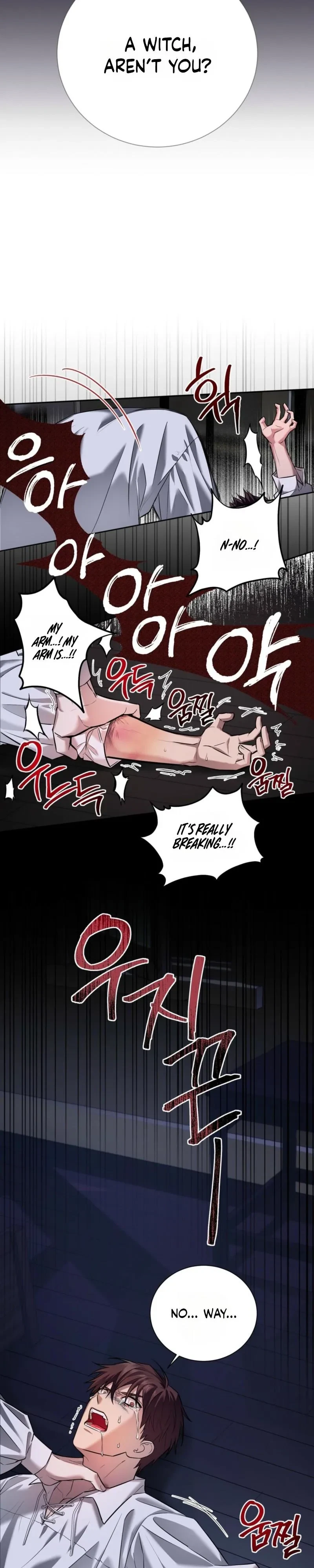 Chapter 1, page 17