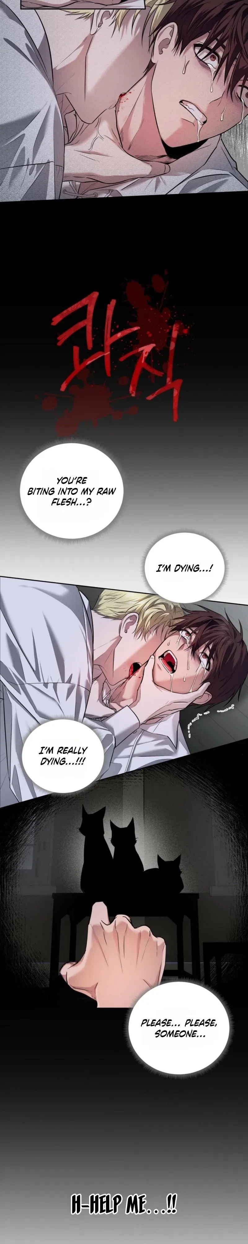 Chapter 1, page 19