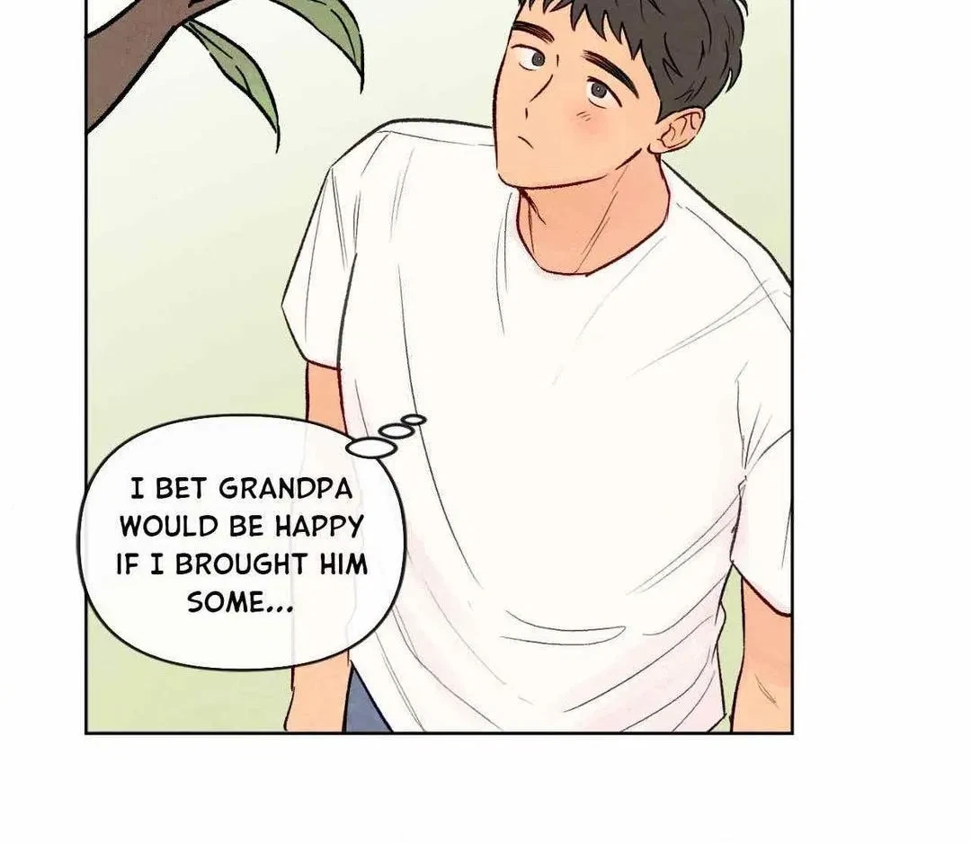 Chapter 25, page 96
