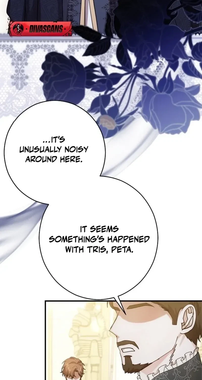 Chapter 2, page 5