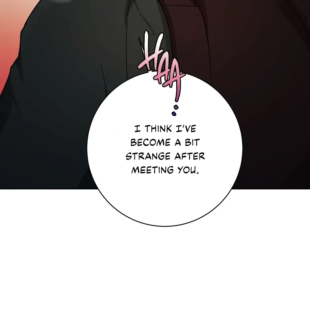 Chapter 5, page 41