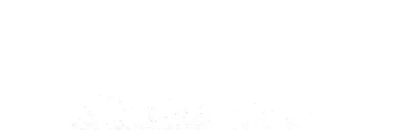 Chapter 3, page 21