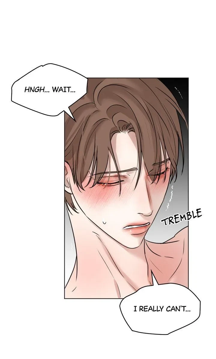 Side.6, page 41