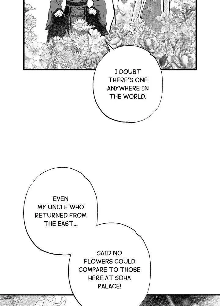 Chapter 3, page 24