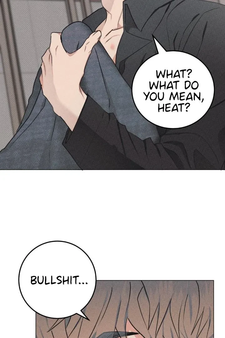 Chapter 5, page 13