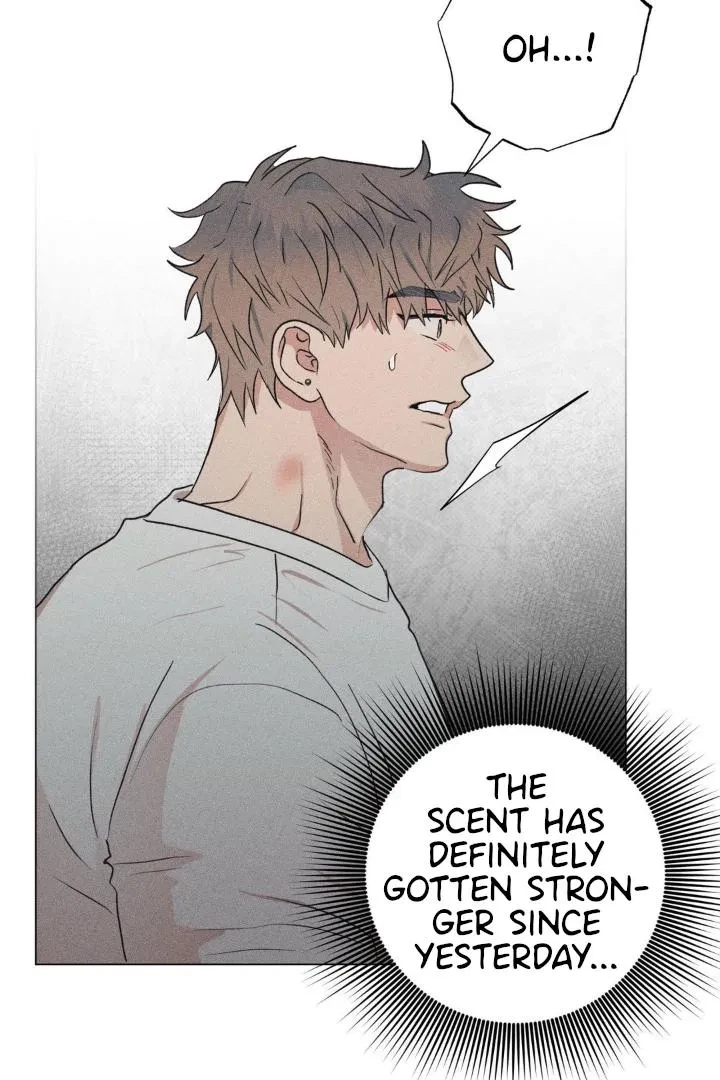 Chapter 5, page 67