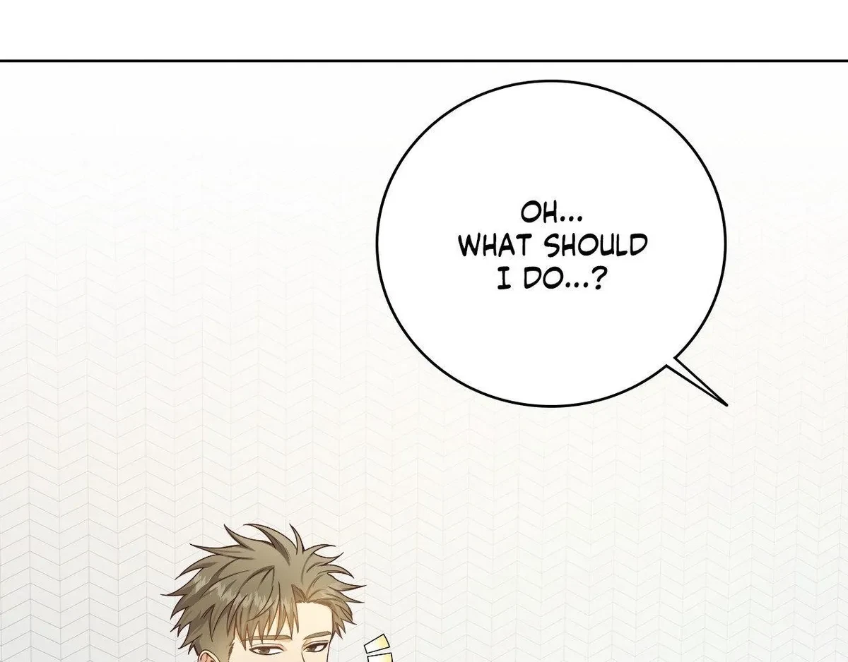 Chapter 3, page 97