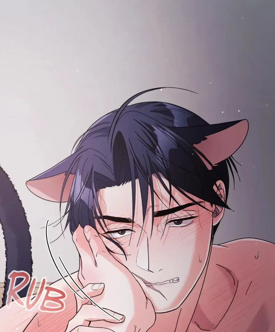 Chapter 30.3, page 97