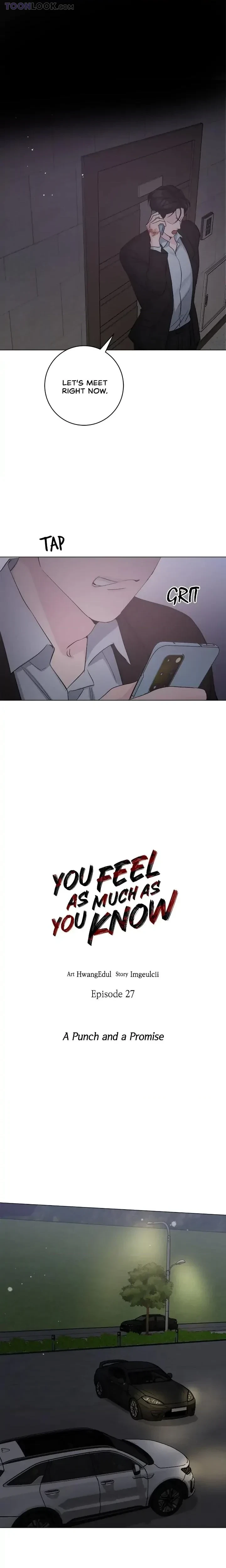 You Feel As Much As You Know Chapter 27, page 10