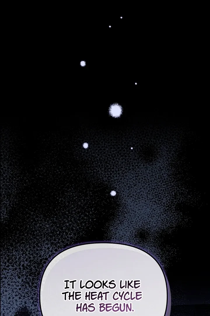 Chapter 2, page 23