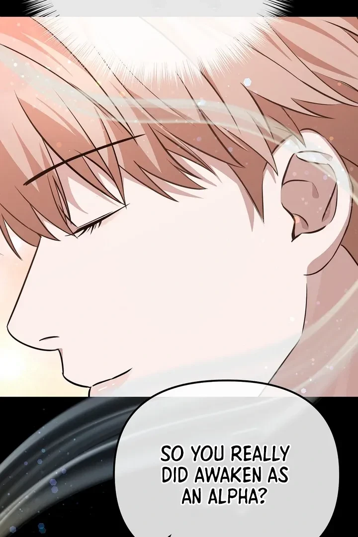 Chapter 2, page 81