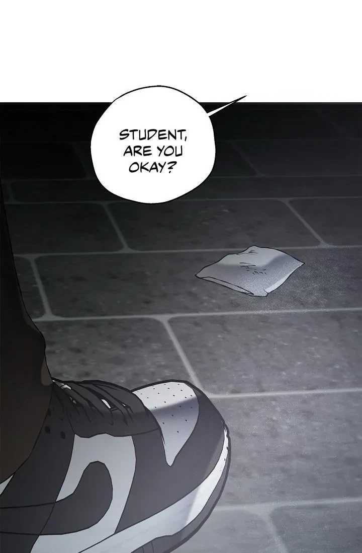 Chapter 17, page 106
