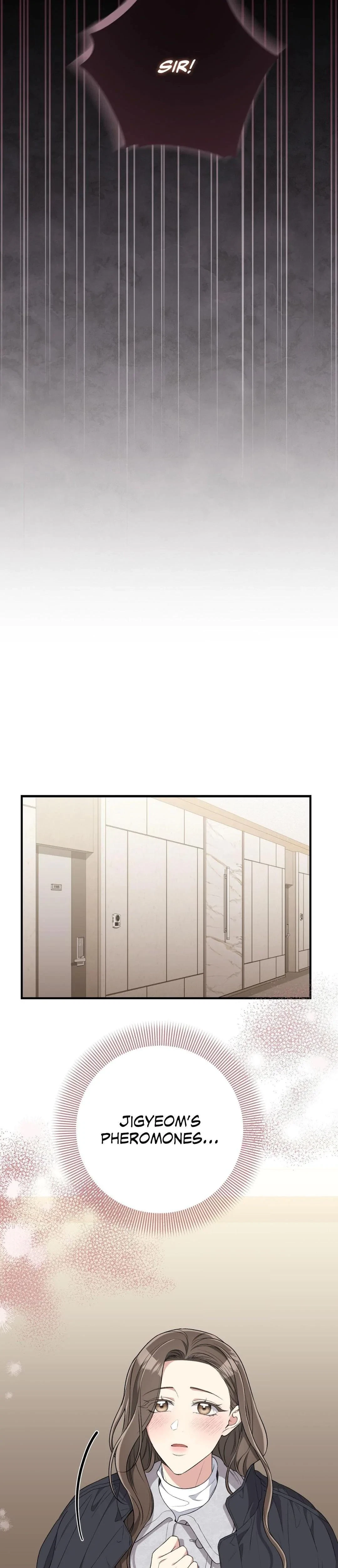 Bride For The Taking Chapter 40, page 37