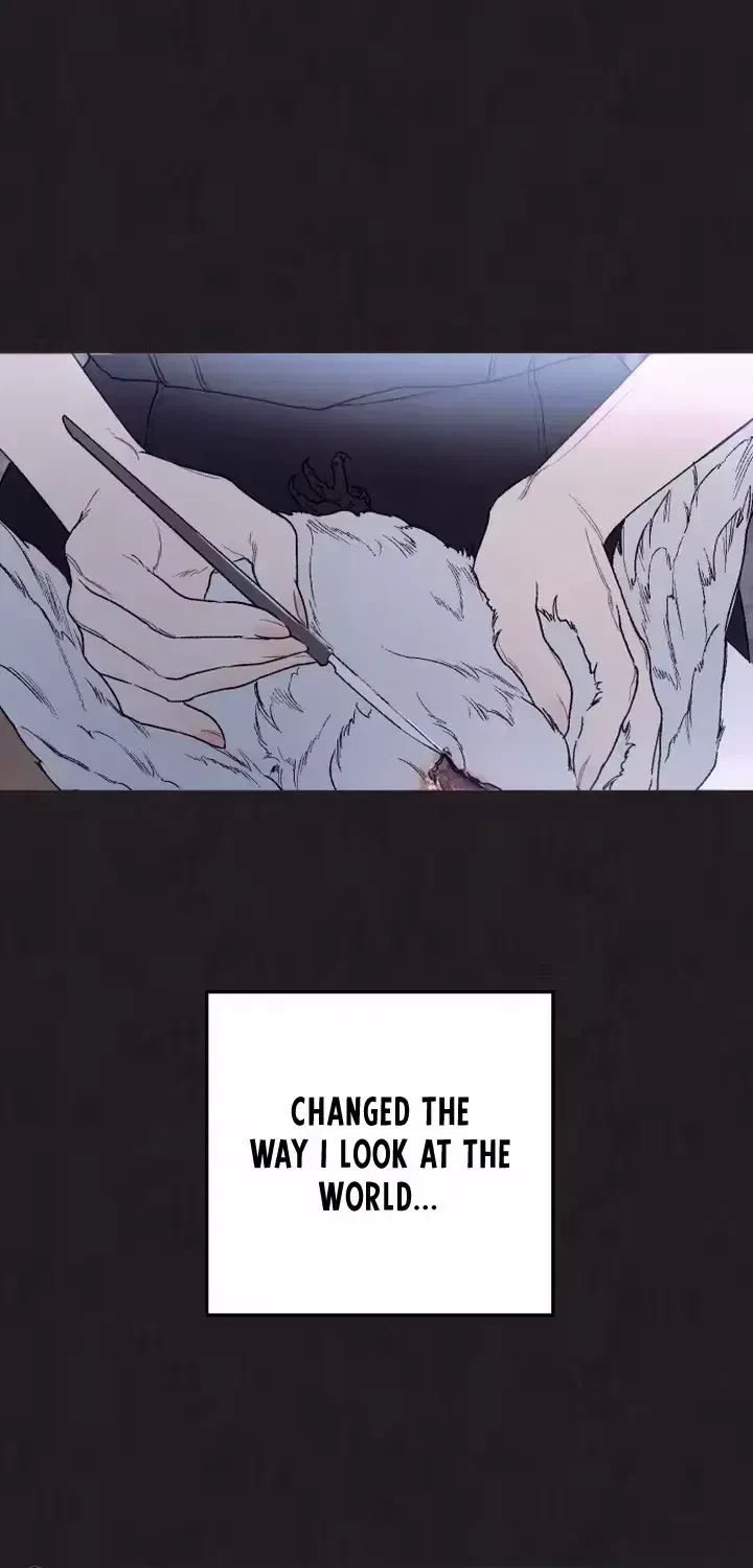 Chapter 1.1, page 6