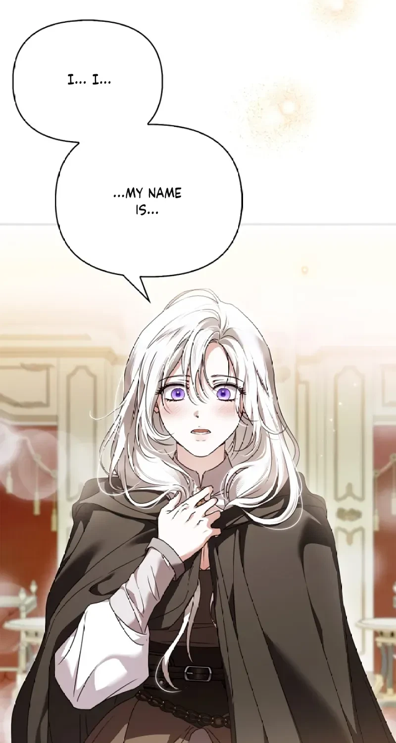 Chapter 2, page 13
