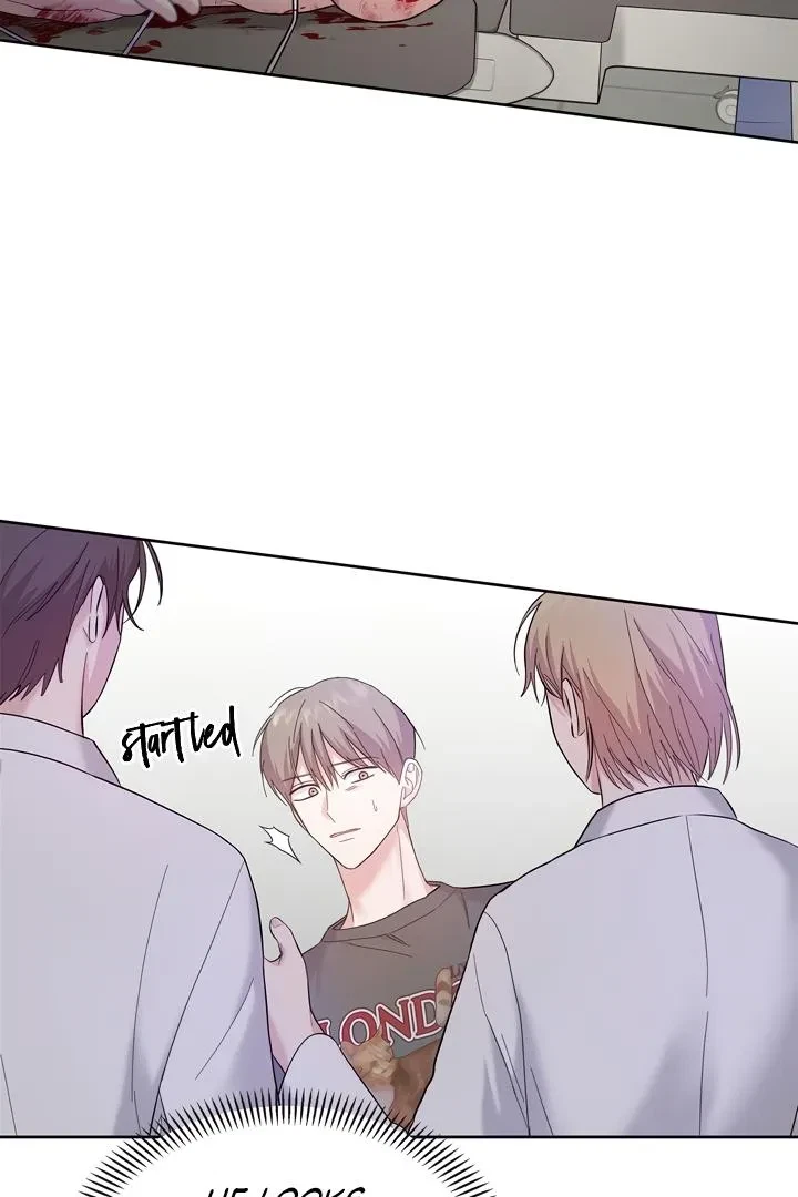 Chapter 2, page 20
