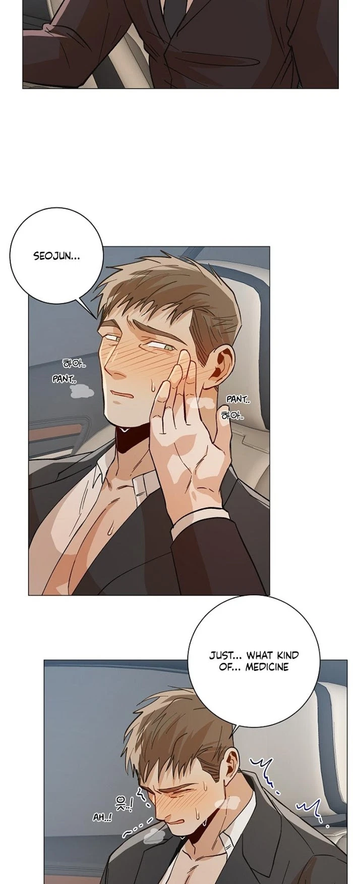 Chapter 41, page 26