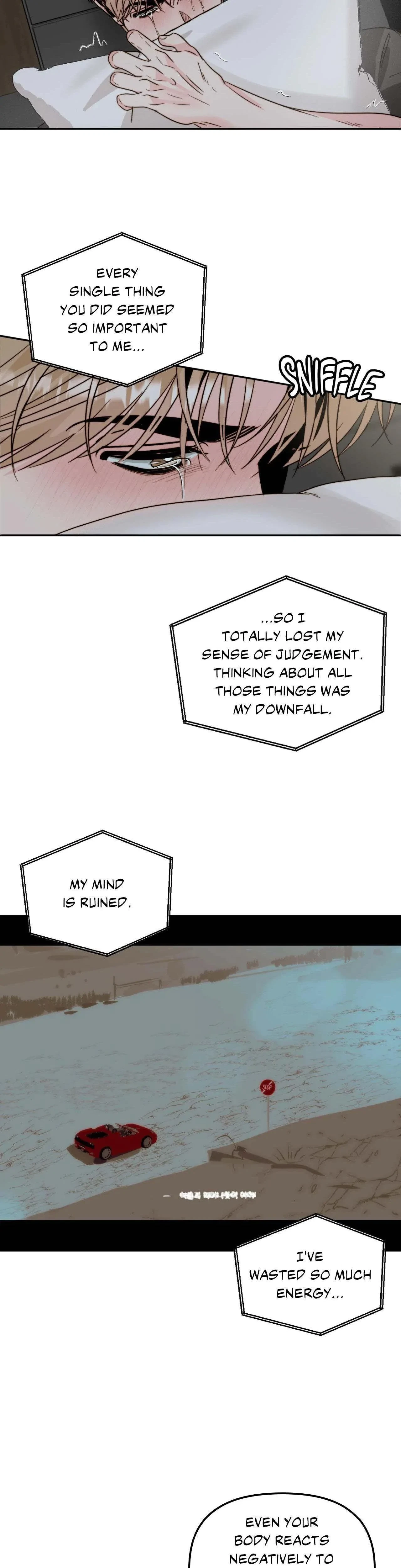 Histamine Heartbreak Chapter 37, page 17